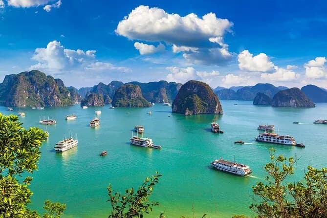 Best of Vietnam Halong Bay Cruise